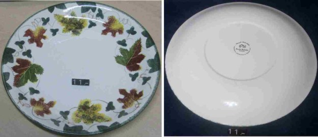 11 Plato Porcelana POOLE POTERY ENGLAND